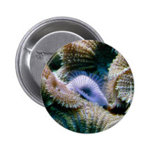 Coral reef pin