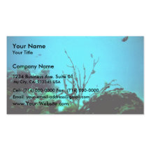 Coral Reef, Virgin Islands Business Card Template