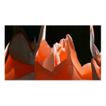 Coral Rose Abstract Business Card