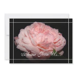 Coral Rose II Wedding Vow renewal  invitations