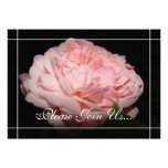 Coral Rose II Wedding Vow renewal  invitations