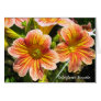 Coral Salpiglossis Sinuata Flower Card