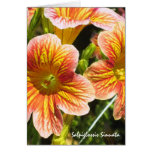Coral Salpiglossis Sinuata Flower Card