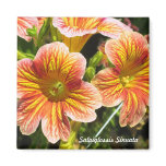 Coral Salpiglossis Sinuata Flowers Magnet