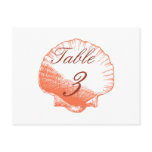 Coral Shells Beach Wedding Table Number Cards Postcards