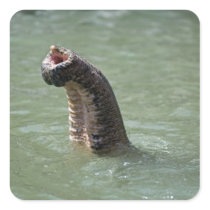 Corbett National Park, Uttaranchal, India Square Stickers