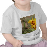 Coreopsis Photos Baby T-Shirt