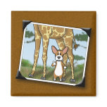Corgi and Giraffe Snapshots