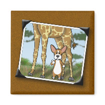 Corgi and Giraffe Snapshots