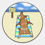 Corgi at Nude Beach Round Sticker