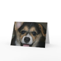 Corgi Dog Greeting Card