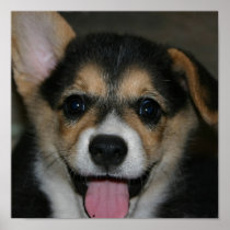 Corgi Dog Print