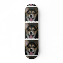 Corgi Dog Skateboard