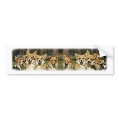 Corgi Group Bumper Sticker by TraffordPhotos