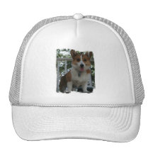 Corgi Puppy Dog Baseball Hat