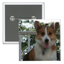 Corgi Puppy Dog Square Button