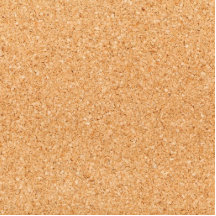 Cork Board Photo Cutout
