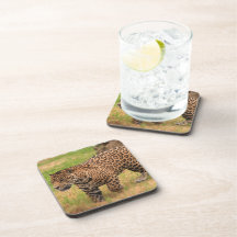 Cork Coaster - Customized