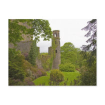 Cork, Ireland. The infamous Blarney Castle 2 Postcards