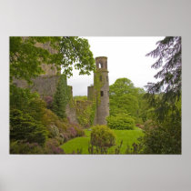 Cork, Ireland. The infamous Blarney Castle 2