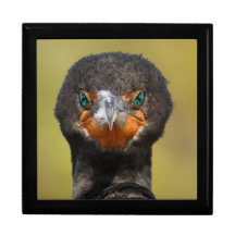 Cormorant Attitude Jewelry Boxes