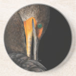 cormorant beverage coasters