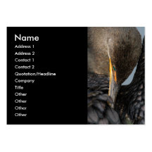 cormorant business card template