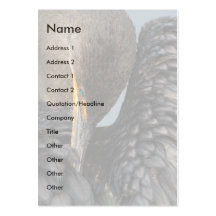cormorant business cards