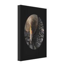 cormorant preening stretched canvas print