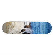 Cormorants Ocean Birds 3 Custom Skate Board