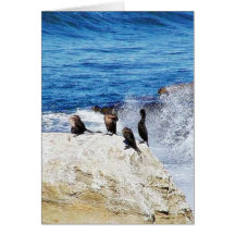 Cormorants Ocean Birds 3 Greeting Cards