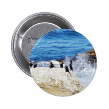 Cormorants Ocean Birds 3 Pinback Buttons