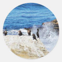 Cormorants Ocean Birds 3 Sticker