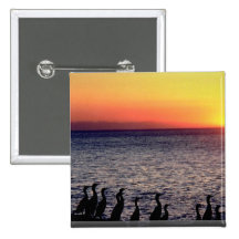 Cormorants pose on coast of Pacific Ocean Pinback Buttons