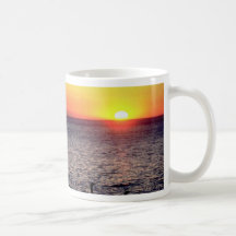 Cormorants pose on coast of Pacific Ocean Mugs