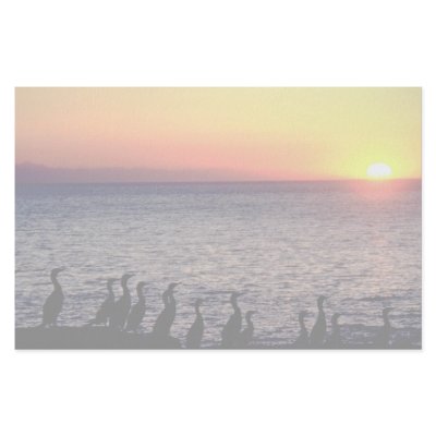 Cormorants pose on coast of Pacific Ocean Stationery by beautifulclicks