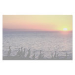 Cormorants pose on coast of Pacific Ocean stationery