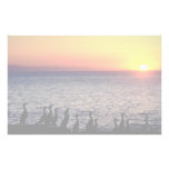 Cormorants pose on coast of Pacific Ocean Stationery