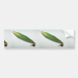 Corn cob bumper sticker