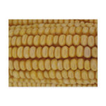 Corn Cob Close Up Postcards
