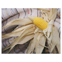 Corn cob flyers