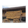 Corn drying in China Post Cards