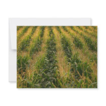 Corn field personalized invitation