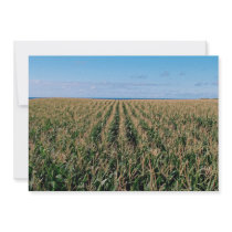 Corn field personalized invitations