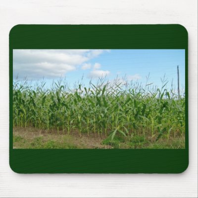 Corn Field Mousepad by pammys