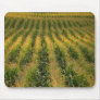 Corn field mouse pad