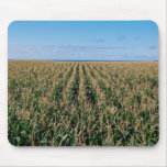 Corn field mouse pad