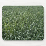 Corn field mousepad