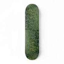 Corn field skate boards