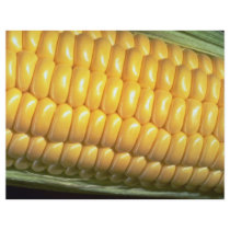 Corn on the cob custom flyer